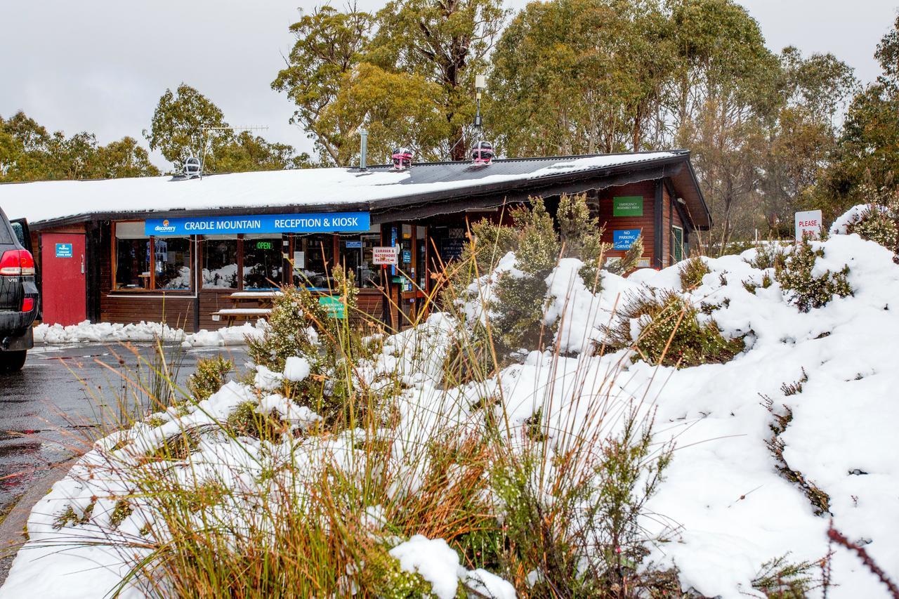 Discovery Parks - Cradle Mountain Eksteriør billede